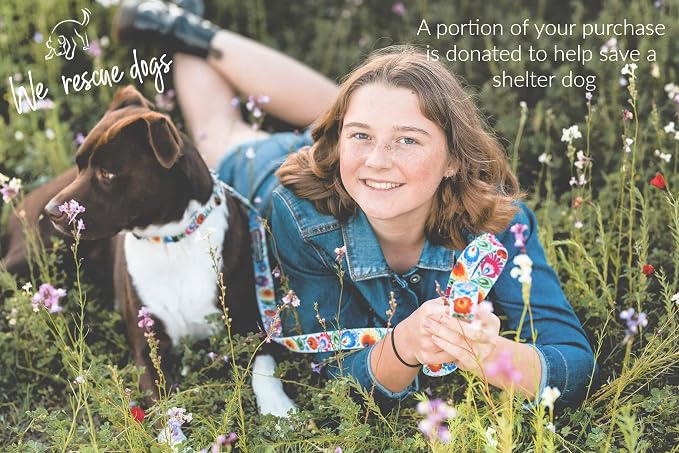 Lucky Love Dog Martingale Dog Collar & Leash - Adjustable, No-Slip, Durable, Comfortable, Soft Webbing, & Stylish Patterned Collar & Leash Set for Male and Female Dogs - Ladybird Combo, Small