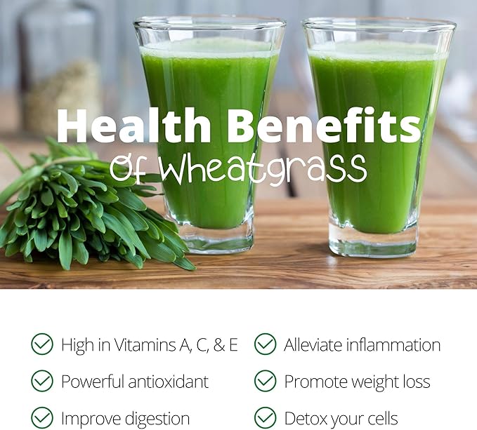 Handy Pantry Wheatgrass Growing Kit - Hydroponic - Certified Organic - Non-GMO - Easy & Fast to Grow Wheat Grass at Home for Wheatgrass Shots & Cat Grass