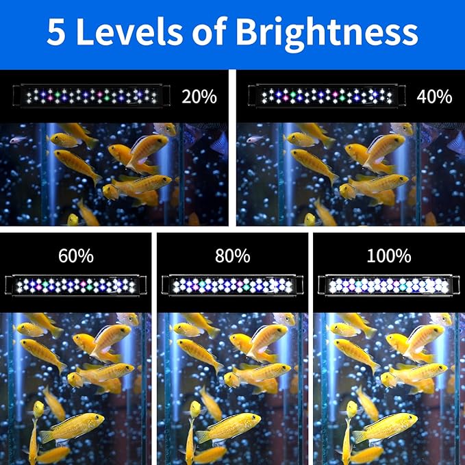 AQUANEAT LED Aquarium Light for 8 to 10 Inch Fish Tank, Auto On Off with Timer, Full Spectrum, Adjustable Brightness, Daylight Moonlight Mode, for Fresh Water Low-to-Mid Light Plants
