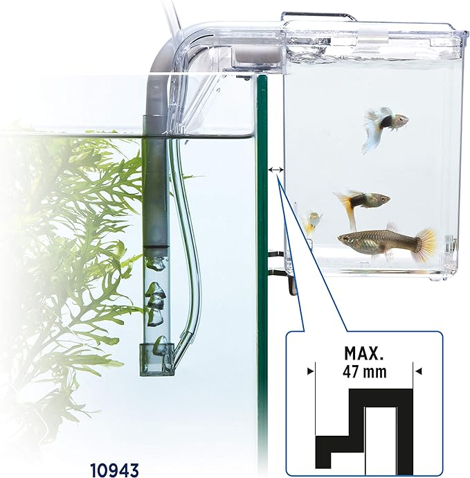 Fluval Multi-Chamber Holding and Breeding Box, Large – Up To 3 Separate Housing Compartments
