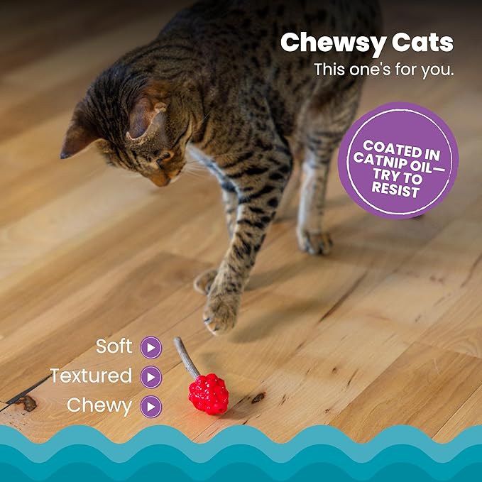 Catstages Dental Raspberry Teether with 4 Silvervine Sticks Included, Cat and Kitten Teething Toy, Red