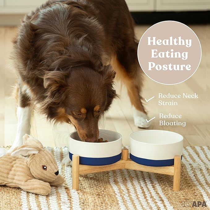 Ilyapa Ceramic Dog Bowls - Elevated for Medium Sized Pet with Raised Food and Water Set - Blue Double 6 inch, 28 Oz Bowls & 13x6.3x5.5 Wooden Stand