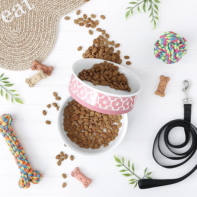 Bone Dry Lattice Collection Pet Bowl & Canister, Large Set, 7.5x2.4 inches, Rose, 2 Piece