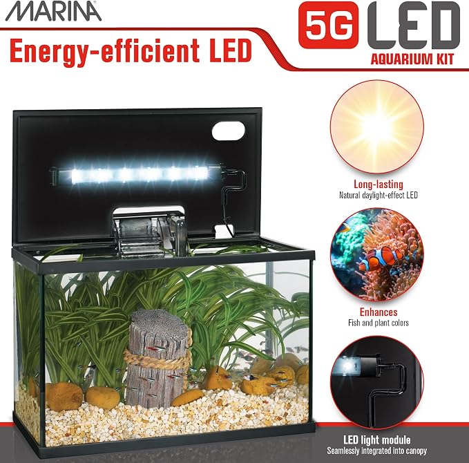 Marina 5 Gallon (19 L) LED Aquarium Kit | Ideal for Beginner Aquarists and New Fish-Keepers