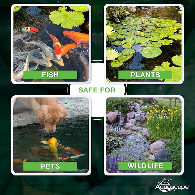 Aquascape Dry Beneficial Bacteria for Pond and Water Features, 8.8 Ounce (Pack of 1), 98948 , white