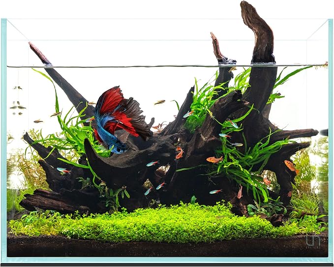UNS Ultra Clear Rimless Tank - 11.9GAL | 45.3L - 17.71x11.02x14.17 | 45x28x36 CM, 5mm Glass Thickness, Leveling Mat Included - Low Iron, High Clarity Fish Tank w/ 45° Mitered Edge - [45T]