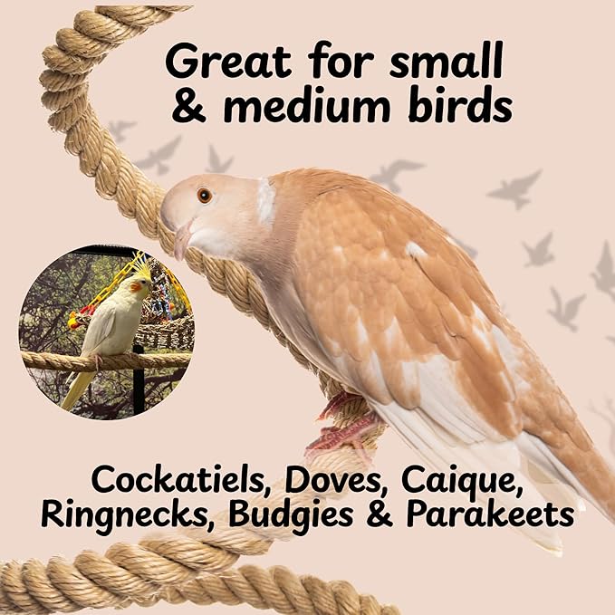 Boing Rope Perch for Parrots, Bendable Natural Sisal Spiral Hanging Bungee Perch with Stainless Steel Mount, Cotton Alternative Cage Accessory, Perch for Cockatiels, Parakeets, Doves, Budgies (6 ft)