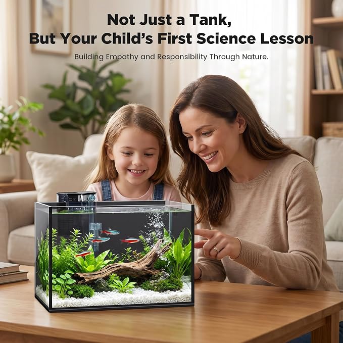 2 Gallon Small Fish Tank with Light and Filter Desktop Aquarium Starter Kit | Betta and Shrimp Habitat with Lid, Gravel, Plants and Tools; Beginner-Friendly Aquascaping for Bedrooms and Offices