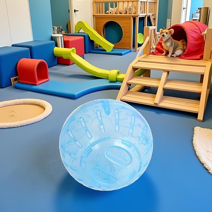 JJLFresheners Hamster and Chinchilla Pet Activity Structure