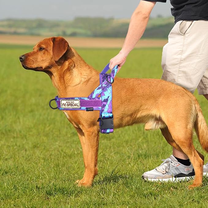 Annchwool No Pull Dog Harness with Soft Padded Handle-Escape Proof and Quick Fit to Adjust Dog Harness-Easy for Training Walking for Small & Medium and Large Dogs(Camo Purple,XS,1 in Width)