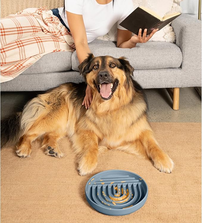 Should We Go? Slow Feeder for Dogs & Puppies, The Slowdown Bowl Silicone Slow Eating, Modern Lick Mat Design, Reduces Gulping, Fits 2.5 Cups, 9.5” Across x 1.5” Tall, Mealtime Challenge, Large-Ocean