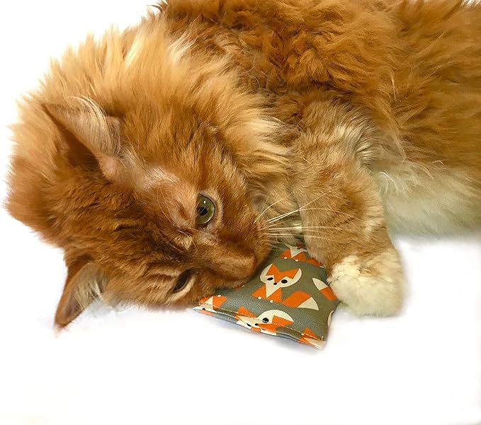 Organic Catnip Toys, Made with GOTS Certified Organic Fabric, Organic Catnip, Organic Thread, One package of 3 toys, Handmade in the USA