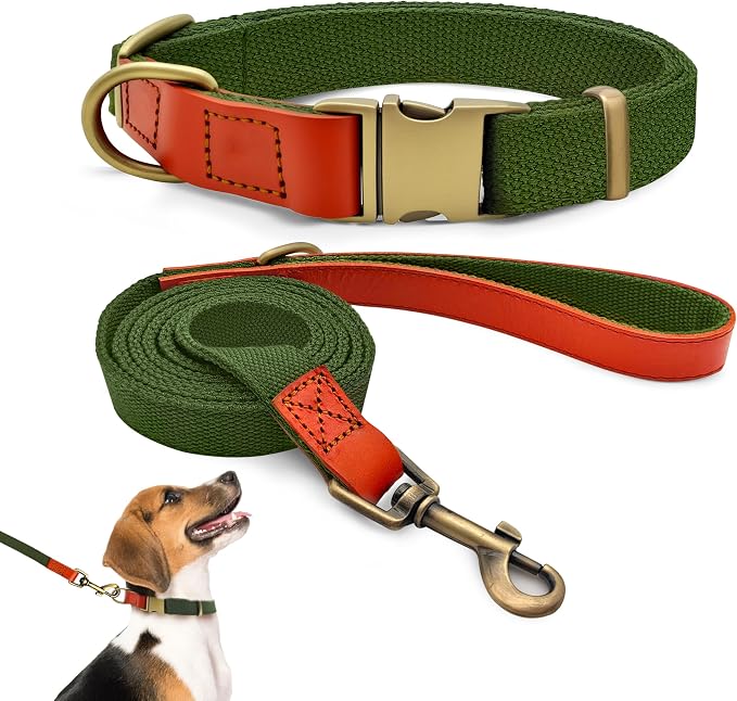 Nylon Dog Leash and Collar Set with Metal Quick Release Buckle, Adjustable, Durable High-Density Fabric, Breathable, Soft and Comfortable, No Pull for Walking and Training, Green, M (12.6"-19.6")