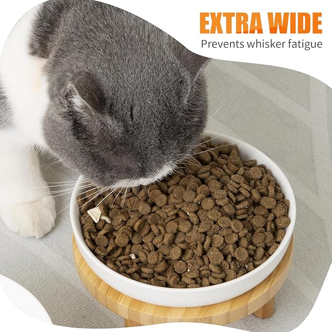 Lusifaco Shallow Elevated Cat Bowls,5.9 Inch Wide Raised Ceramic Cat Dishes with Bamboo Stand, Whisker Friendly Pet Water or Food Plates Feeding Station for Indoor Cats, Kitten(Grey,Set of 1)