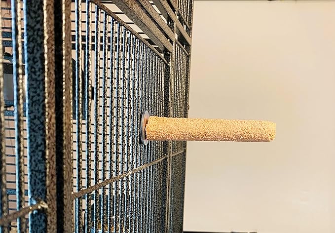 Polly's Pastels Nail Trimming & Beak Conditioning Safety Perch for Cockatiels, Cockatoos, Macaws, Parakeets, Budgies, Parrots and All Other Birds (Coral, Baby Medium-3/4 Dia. x 5" Long)