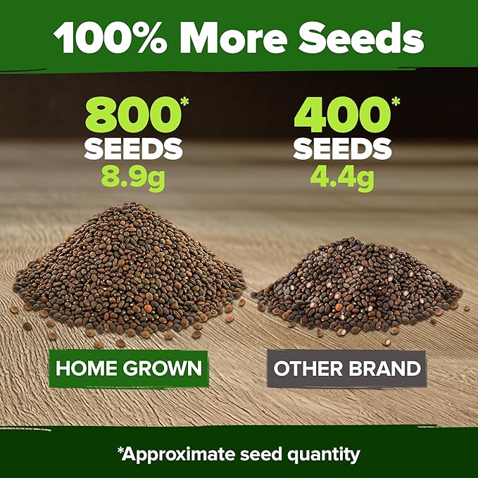 HOME GROWN Cherry Belle Radish Seeds 800+ Heirloom Non-GMO Seeds for Planting, High Germination, Fast Growing Red Radish, Harvest in 30 Days, Crisp & Mild Root Vegetable,Spring Fall (Raphanus sativus)