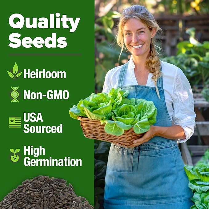 HOME GROWN Buttercrunch Lettuce Seeds 3950+ Bulk Pack Heirloom Non-GMO, High Germination, Bibb Lettuce for Planting, Indoor Outdoor Hydroponic Garden, Heat Tolerant,Year-Round Harvest (Lactuca sativa)
