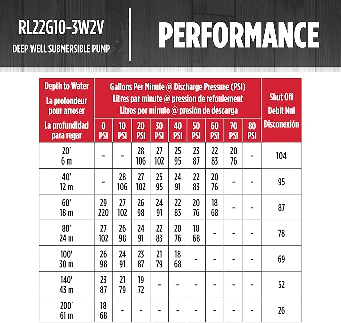 Red Lion RL22G10-3W2V 4-inch Submersible Deep Well Pump with Control Box, 1 HP, 22 GPM, 3-Wire, 230-Volt, Steel, 14942409