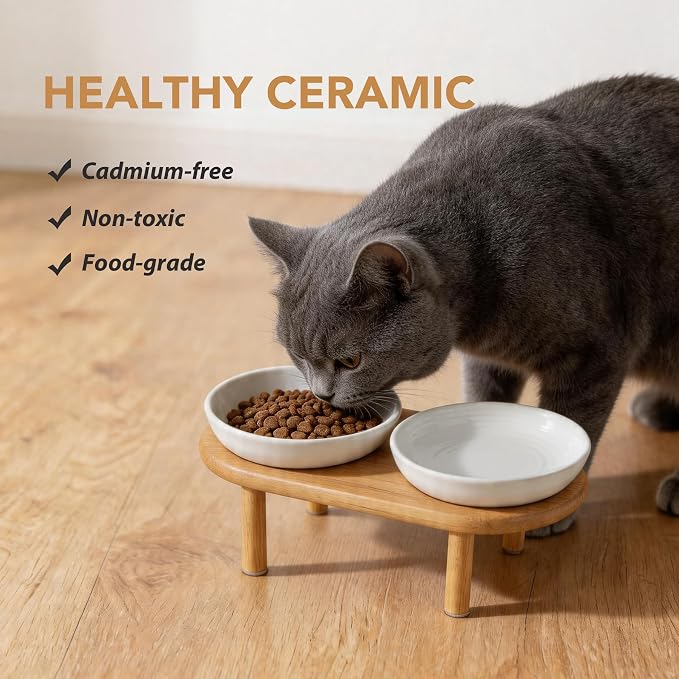 Havniva Elevated Cat Bowls Raised Ceramic Cat Bowl, 5.7” Wide Opening Cat Food Bowl Whisker Friendly Cat Dish Anti-Slip with Bamboo Stand, Shallow Pet Food & Water Bowl for Indoor Cats