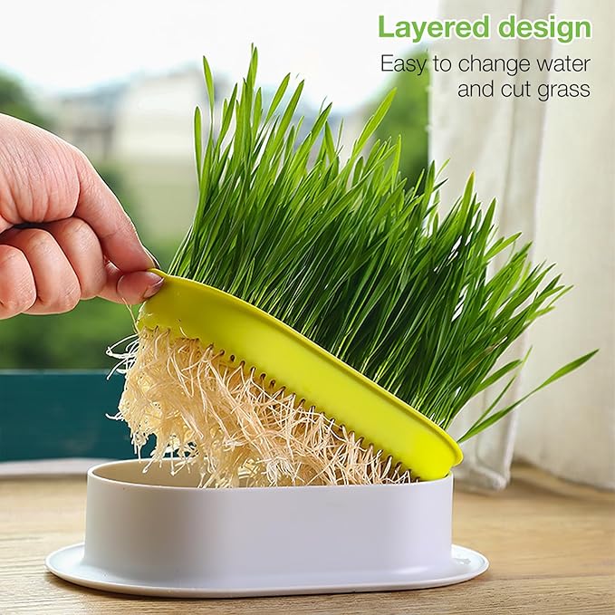 SUPVOX 3pcs Hydroponic Cat Grass Planter Kit, Soilless Wheatgrass Growing Trays for Indoor Cats, Practical Nursery Planters with No Seeds Included