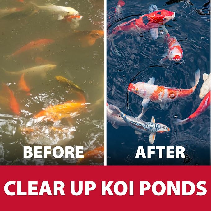 The Pond Guy Filter Shock Gel, Live Microbes & Enzyme Treatment, 8 oz | Water Garden Filtration Starter that helps maintain cleaner freshwater Koi fish ponds and supports water quality