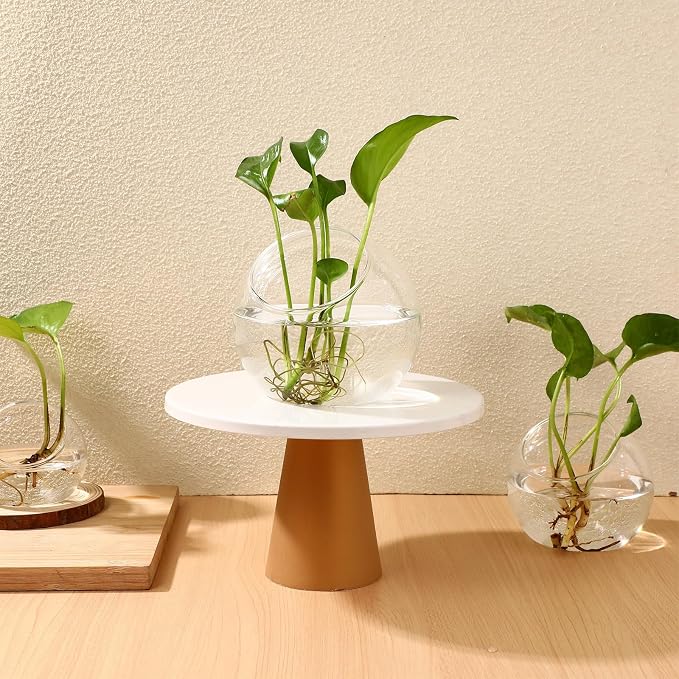 Milisten 3pcs Glass Terrariums for Plants, Slanted Terrarium Jar, Glass Fish Bowls for Air Plant Succulent Cactus Moss, Clear Globe Vase Container for Home Desktop Micro Landscape Decor, 3 Size