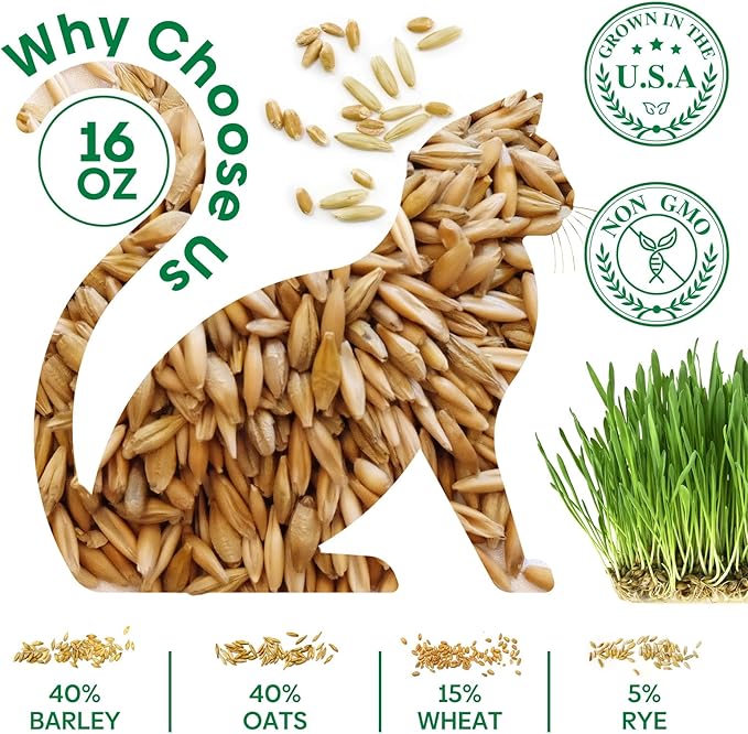 Cat Grass Seeds, 16OZ Non-GMO Barley, Oats, Wheat, Rye 4 Varieties Seed, Fast & High Germination, Heirloom Grown in USA for Indoor Cats