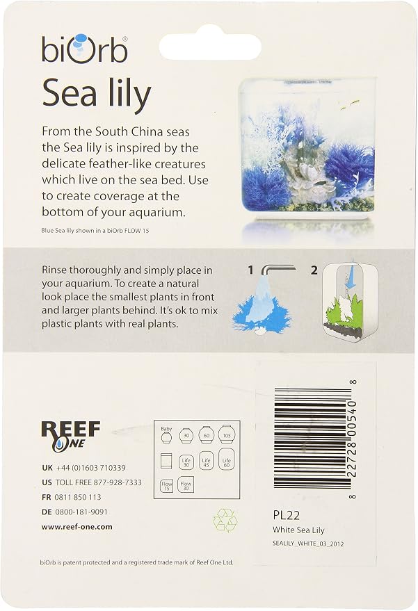 Sea Lily White