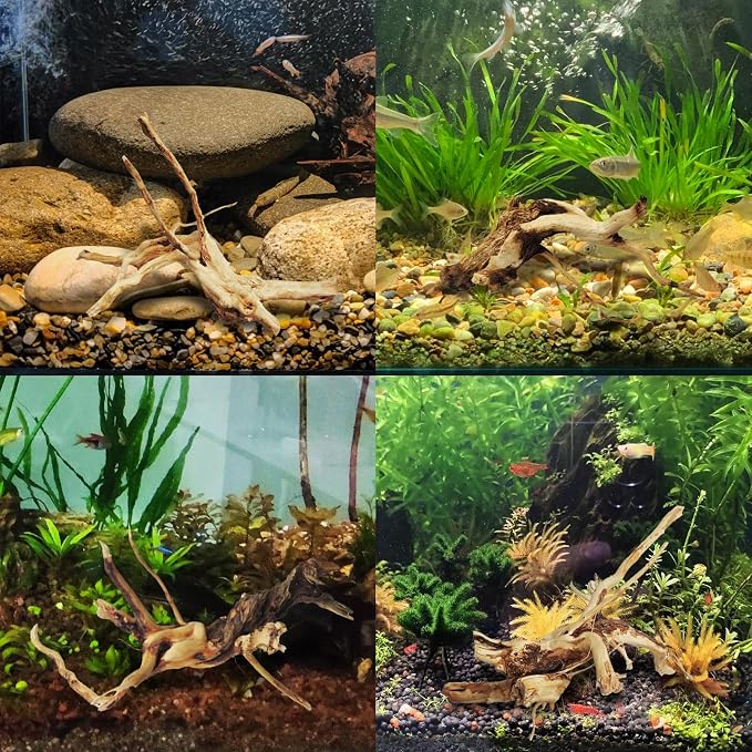 kathson Aquarium Driftwood Reptile Branches Wood Natural Spiderwood Driftwood for Aquarium 5-6" 11 Pcs Terrarium Ornament Trunk Fish Tank Log Habitat Decoration Tree Stump Decor Assorted Sizes Wood