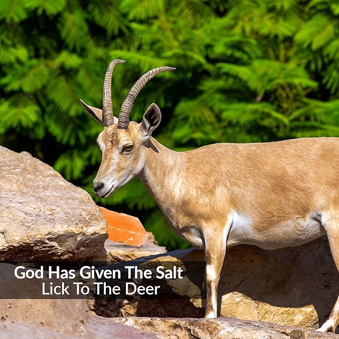 Licking Salt for Deer Block - Animal Licking Mineral Salt Block, Natural Feed Salt Rock for Horse, Deer & Animal, 10 Pound, 2 Counts