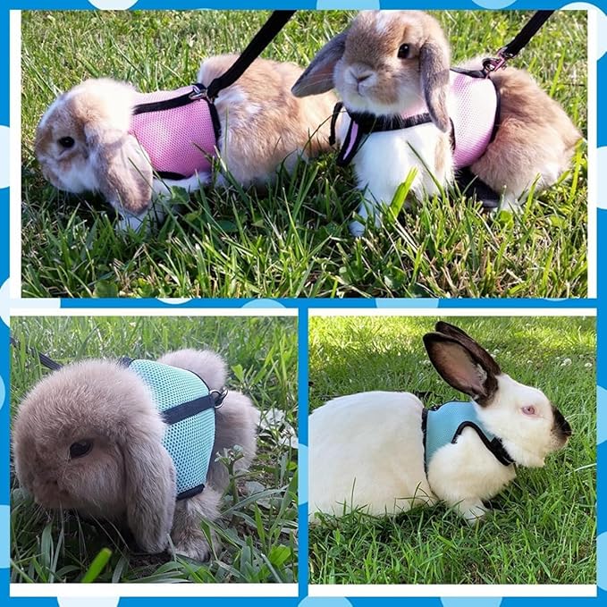 Rabbit Harness and Leash,Guinea Pig Escape Proof Bunny Harness and Leash Set, Cute Bunnies Vest Clothes Stuff Walking Ferret Kitten Puppy Small Pet Animals,Pink M