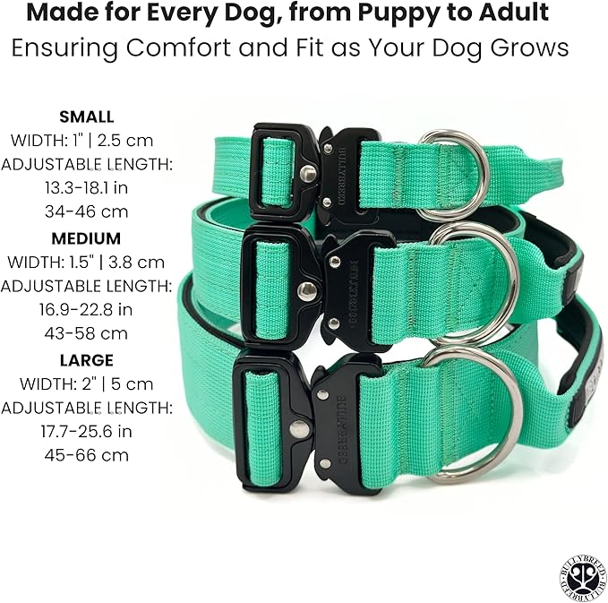Tactical Dog Collar for Puppy, Heavy Duty Puppy Collar, Dog Collar for Small Dogs, Waterproof Dog Collar, Dog Training Collar, Quick-Release Buckle, Adjustable Sizes – BULLYBREED (Aquamarine, Small)
