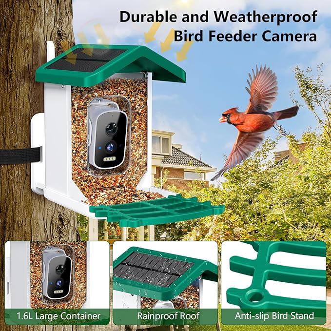 Smart Bird Feeder with Camera, AI Bird Species Identification Solar Powered Panel, 2.5k HD Video Bird House with Camera for Outside Garden, Ideal Gifts for Lover,Valentine's Day, Green