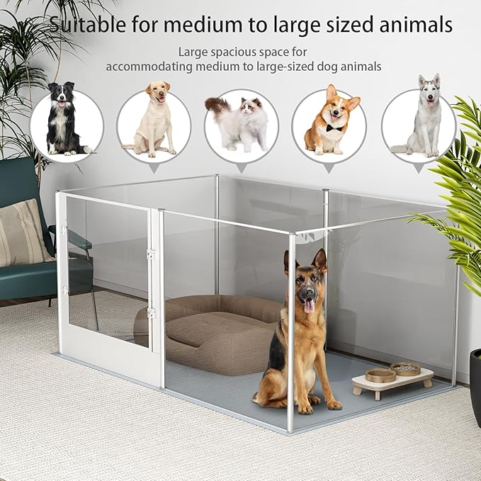 BingoPaw Clear Dog Playpen Fence: 64"x43" Extra Tall Transparent Pet Acrylic Playpen Expandable with Bottom and Door for Dogs Bunny