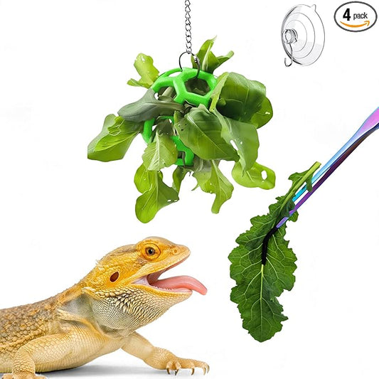 Bearded Dragon Enrichment Toys Feeding Tongs Accessories, Veggie Feeder Ball and Feeding Tongs with Rubber Tip, Greens Training Kit for Reptile Lizard Gecko, Reptile Tank Accessories (Green)