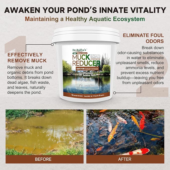 Dr.Raifya's Muck Reducer, Sludge & Odor Treatment for Ponds & Lakes - 6 LB | All-in-One Enhanced Cleaning Power, Natural Beneficial Bacteria & Enzyme, Fish, Pet & Wildlife Safe, Treats Up to 48000 Sq Ft