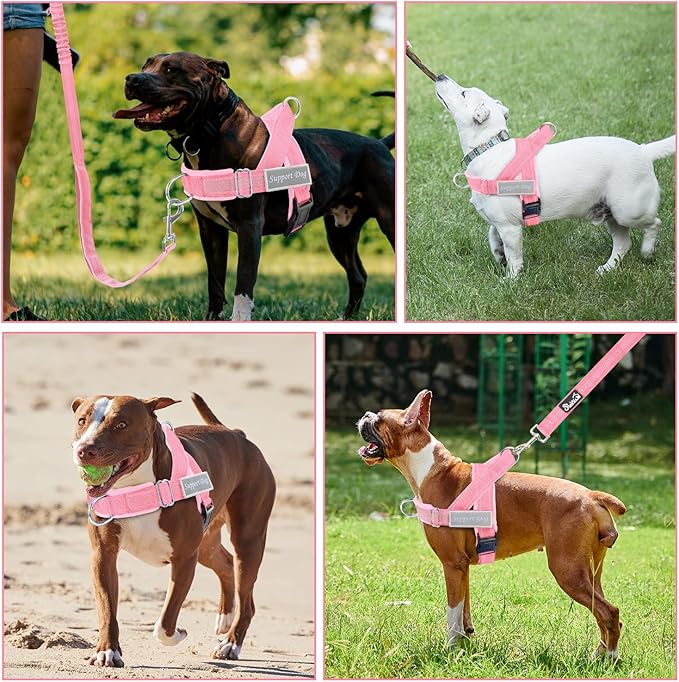 Lukovee No Pull Dog Harness & Leash Set - Heavy Duty Dog Vest Harness with Soft Padded for Medium Large Dogs, Adjustable Reflective Tactical Pet Harness for Easy Walk and Training (S, PI)