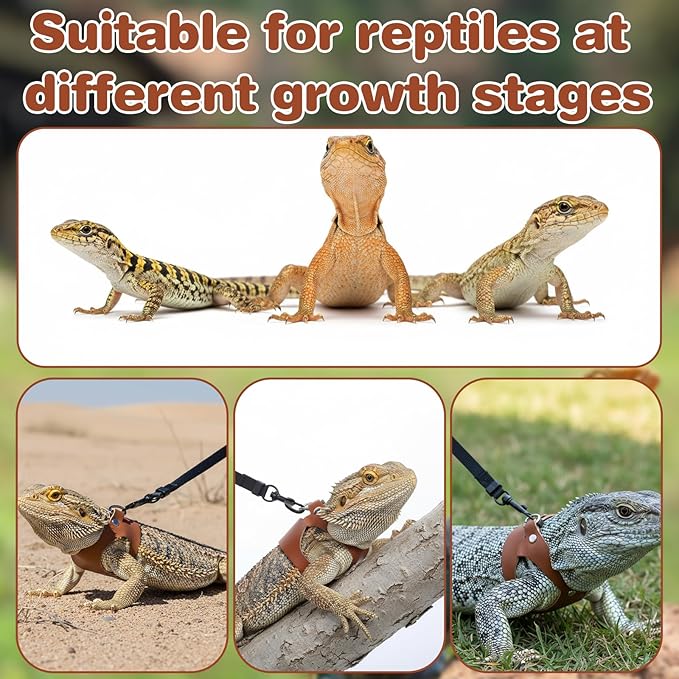 3 Pack Bearded Dragon Harness and Leash Set, Small Animal Traction Rope Training Walking Vest Accessories, 3-Size Adjustable Soft Leather Lizard Vest Harness Leash for Squirrel Reptile Rat