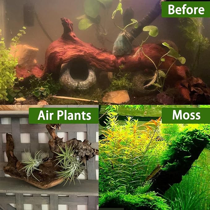 Tfwadmx Natural Driftwood for Aquarium Decor-4 Pieces 5-8" Assorted Driftwood,Fish Tank Drift Wood Decoration, Freshwater Wood Branches Ornament for Reptile Terrarium,Air Plants