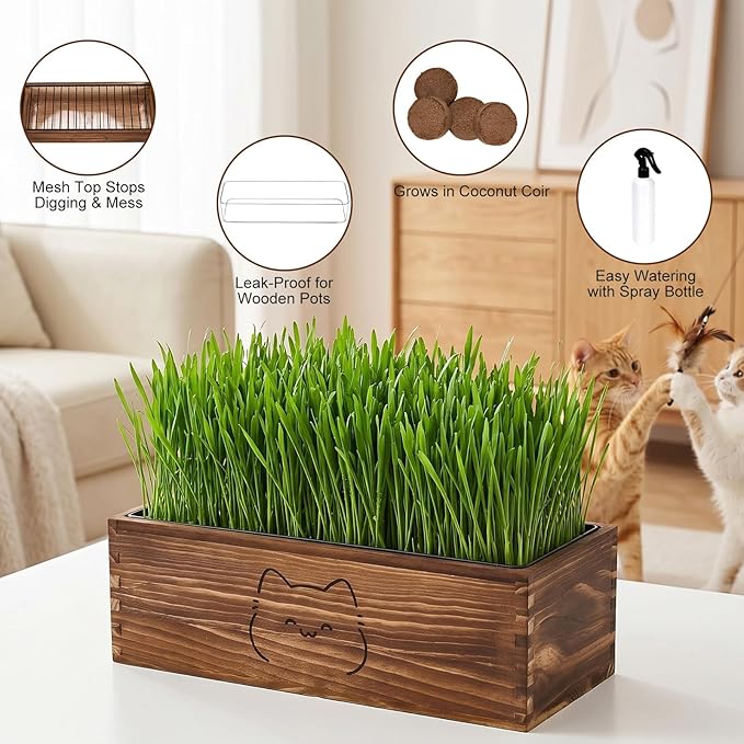 Wooden Cat Grass Planter (no Seeds Included),Cat Grass Kit for Indoor Cats with Anti-Digging Grid, Potting Soil Disks,Watering Bottle and Removable Plastic Liner,Wheat Grass Growing Pot