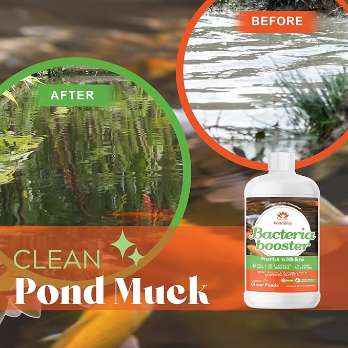 Beneficial Booster - Concentrated with Billions of Microbes, Pond Starter and Treatment for Dirty and Smelly Water - 32oz