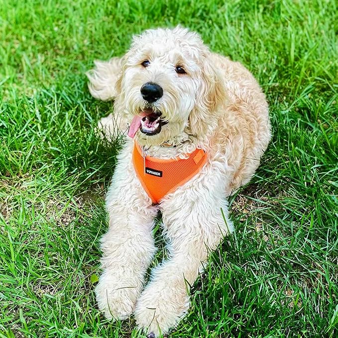 Voyager Step-in Pet Harness - All Weather Mesh, Adjustable Step in Harness for Cats and Dogs by Best Pet Supplies - Orange, L