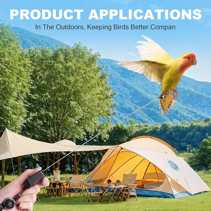 Bird Leash, with 5 Different Size Foot Ring and Feeder Box, Retractable Anti-Bite Parrot Harness, Bird Flight Training Rope for Budgies,Cockatiels,Psittacula Longicauda,Mini Macaws (6.5Ft)