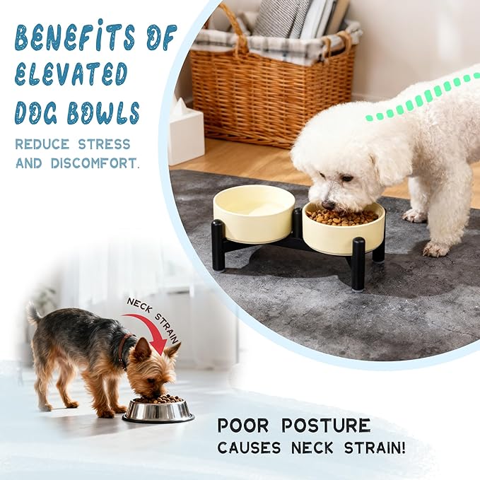 Elevated Ceramic Dog Bowl Set - Cute Double Dishes with Stainless Steel Stand – Raised Feeding Bowls for Cats and Small Dogs - Food & Water Set - 5" / 1.4 Cups (140 g / 260 ml) - Pink