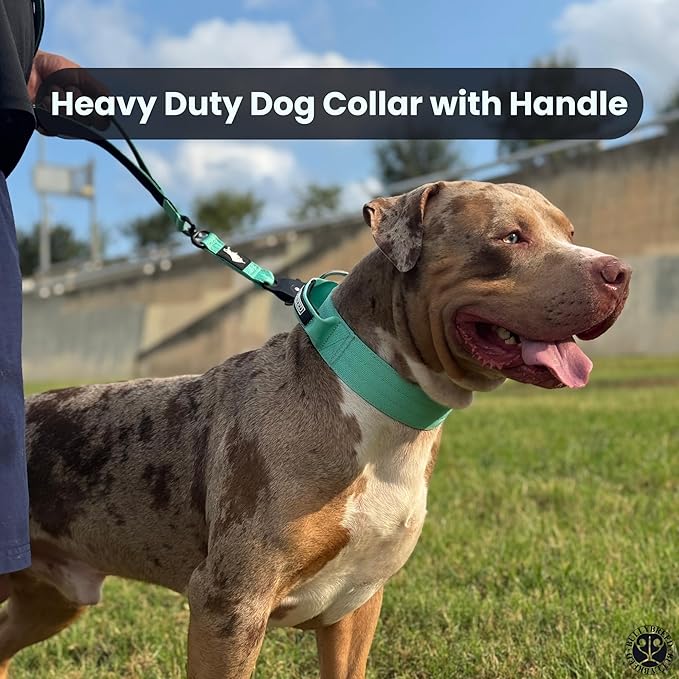Heavy Duty Dog Collar, Tactical Dog Collar, Dog Collar for Large Dogs, Waterproof Dog Collar, Dog Training Collar, Quick-Release Metal Buckle, Adjustable Sizes – BULLYBREED (Navy Blue, Large)