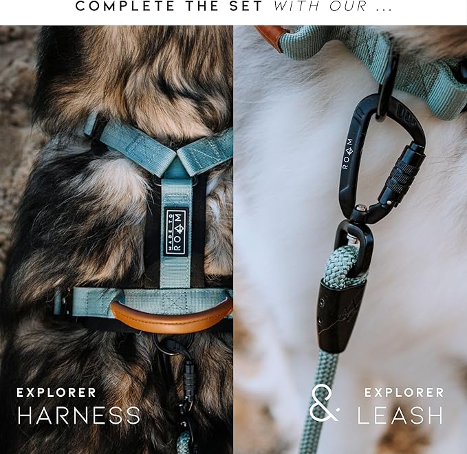 Made to ROAM Premium Dog Collar - Adjustable Heavy Duty Nylon Collar with Quick-Release Metal Buckle (Colorado Nightsky, Classic Size 1)