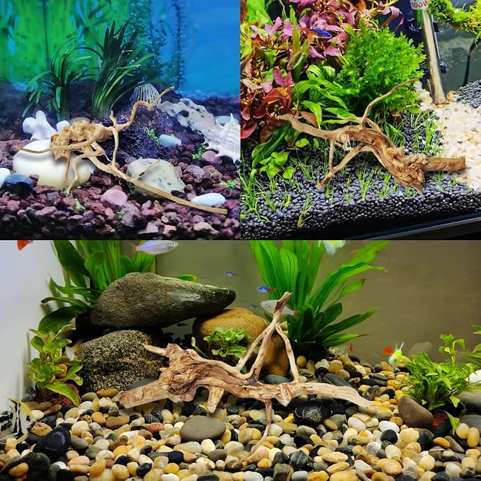 kathson Aquarium Driftwood Reptile Branches Wood Natural Spiderwood Driftwood for Aquarium 5-6" 11 Pcs Terrarium Ornament Trunk Fish Tank Log Habitat Decoration Tree Stump Decor Assorted Sizes Wood