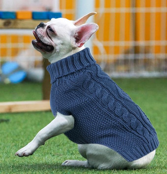 Cute Puppy Turtleneck Sweater for Small Dogs - Warm Dog Clothing for Dachshunds & Cats - Blue, Large