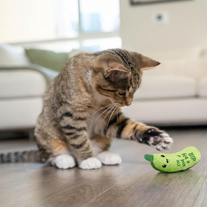 Catstages Crunchy Pickle Kicker Cat Toy – Plush Crinkle Toy with Catnip and Dental Mesh, 6.5" (Pack of 2)