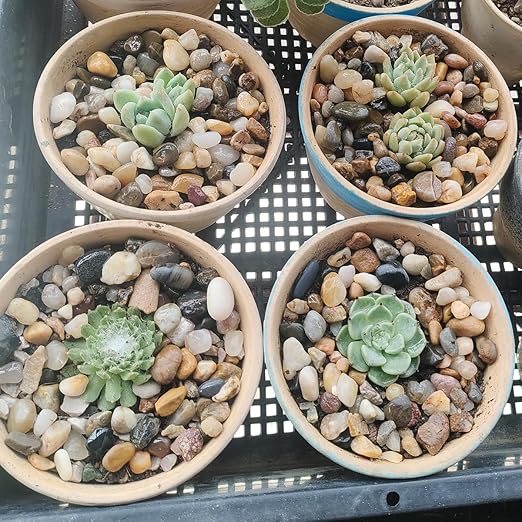 10LB Decorative River Rocks Gravel -2/5/'' Mixed Color Gravel for Vase Filling, Flower Pot Paving. Gravel for Garden Decoration,Landscaping,Aquarium Aquascape Gravel, Fish Tanks Gravel.